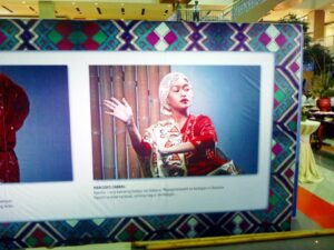 The movie Thy Womb does many positive things in its portrayal of Sama Culture in the film industry.