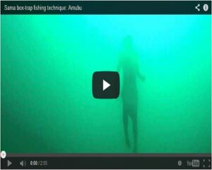 Video from my fishing trip with Sama fisherman Malante as he checks his box-traps (bubu).