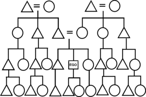 Example Kinship Diagram
