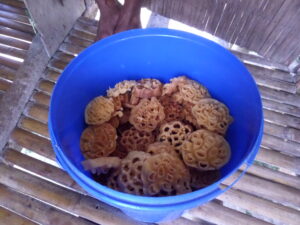 Kohok-Kohok (Pasalakan)