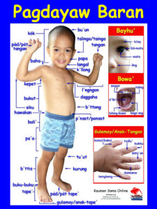 Pagdayaw Baran Educational Poster Sinama