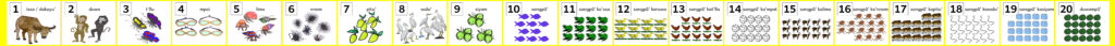Sinama Numbers Banner