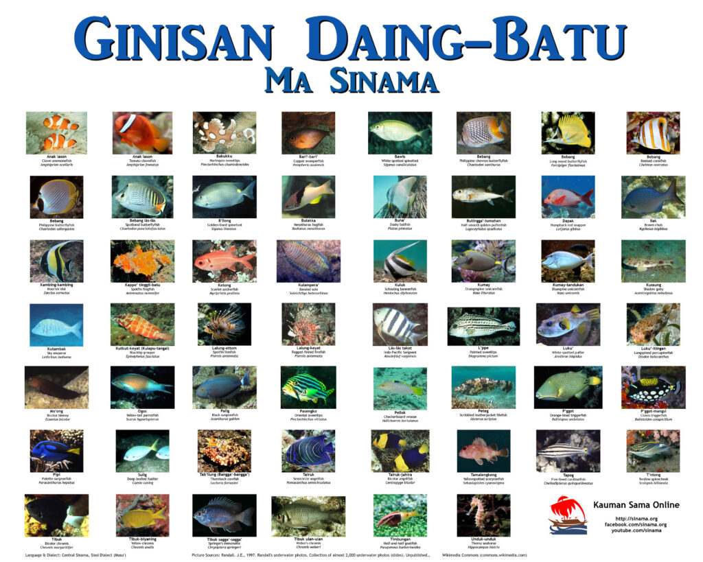 Sinama-Engish-Scientific Reef Fish Names