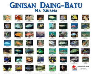 Sinama-Engish-Scientific Reef Fish Names
