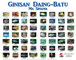 (Old) Sinama-Engish-Scientific Reef Fish Names (web quality)